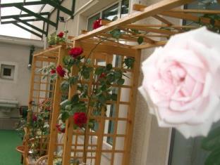 Brasov Romania Agoda.com hotel buy discount code